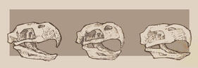 a stylized icon of yooly